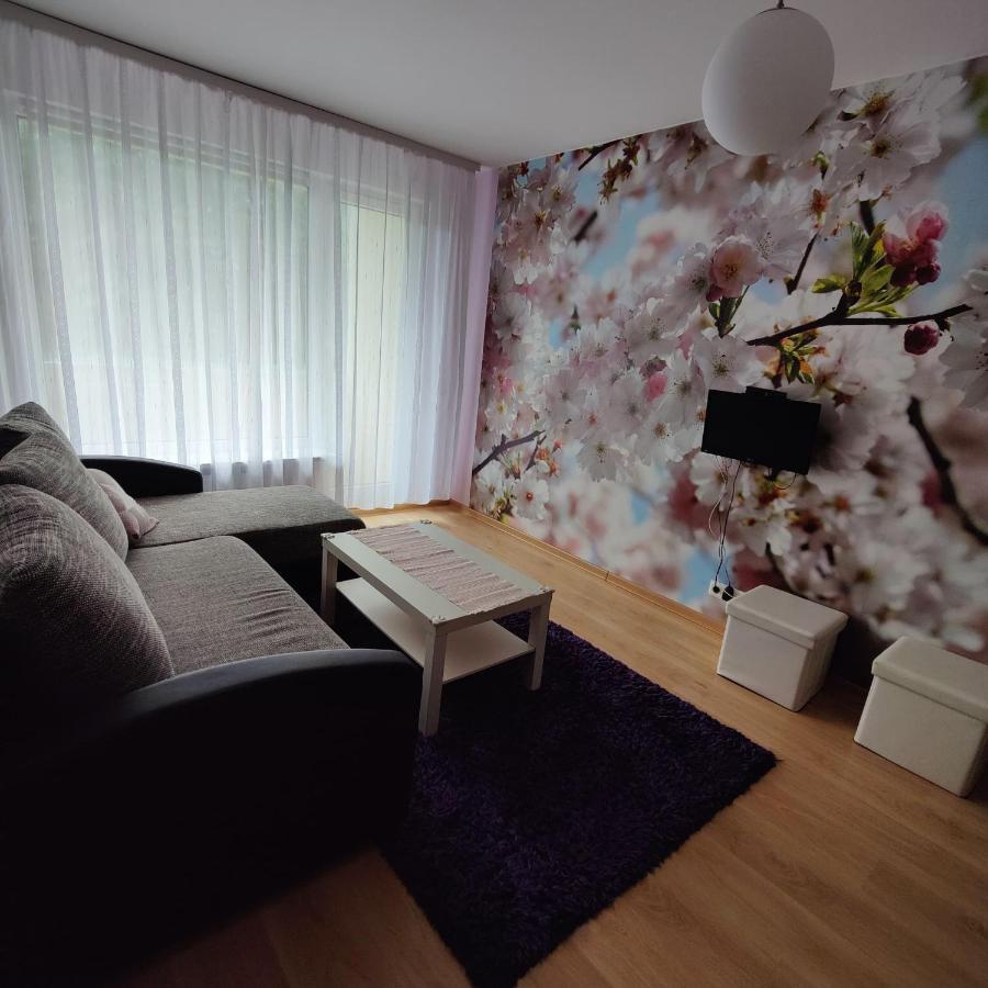 Dainai Apartament Siauliai  Exterior photo